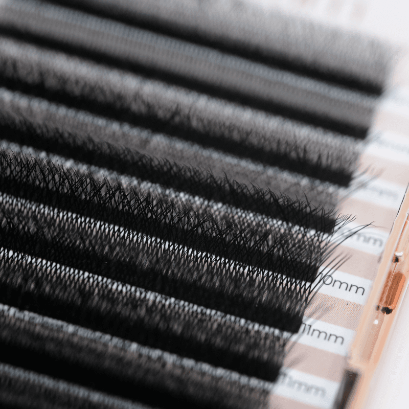 extension de cils en WW