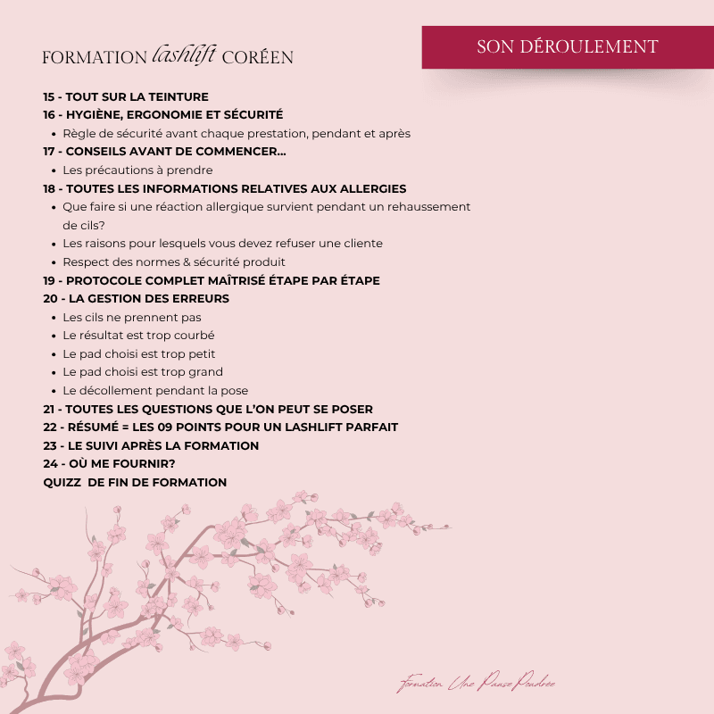 Perfectionnement sur la technique du rehaussement de cils coréen